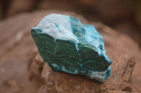 Natural Blue Chrysocolla On Silky Malachite Matrix Specimens  x 6 From Kulukuluku, Congo - Toprock Gemstones and Minerals 