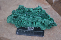 Natural Chatoyant Silky Malachite Specimens  x 3 From Kasompe, Congo