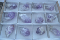 Natural Single Jacaranda Amethyst Crystals  x 12 From Mumbwa, Zambia - Toprock Gemstones and Minerals 