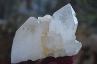 Natural Clear Quartz Crystal Clusters  x 6 From Madagascar