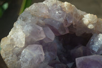 Natural Jacaranda Amethyst Cluster x 1 From Mumbwa, Zambia - TopRock