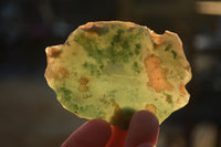 Polished  One Side Polished Emerald Mtorolite Plates  x 12 From Zimbabwe