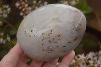 Polished Gorgeous Agate Standing Free Forms x 2 From Madagascar