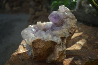 Natural Jacaranda Amethyst Cluster x 1 From Mumbwa, Zambia - TopRock