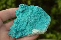 Natural Bright Blue Botryoidal Chrysocolla Specimens x 4 From Lupoto, Congo - TopRock