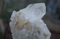 Natural Clear Quartz Crystal Clusters  x 6 From Madagascar