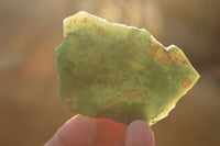 Polished  One Side Polished Emerald Mtorolite Plates  x 12 From Zimbabwe