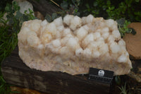 Natural Extra Large Pineapple Quartz Cluster  x 1 From Madagascar - TopRock