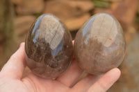 Polished Large Morion Smokey Quartz Eggs x 4 From Madagascar - TopRock