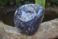 Polished Purple Lepidolite Free Forms  x 3 From Zimbabwe - Toprock Gemstones and Minerals 