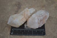 Natural Highly Selected Pineapple Candle Quartz Crystals  x 12 From Madagascar - Toprock Gemstones and Minerals 