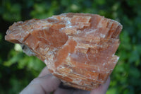 Natural New Sunset Orange Calcite Specimens  x 4 From Spitzkoppe, Namibia - Toprock Gemstones and Minerals 