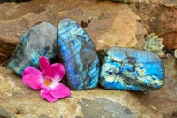 Polished Labradorite Standing Free Forms With Intense Blue & Gold Flash x 3 From Tulear, Madagascar - TopRock