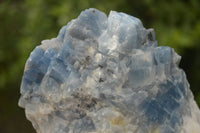 Natural New Sky Blue Calcite Specimens  x 15 From Spitzkop, Namibia