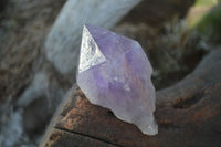 Natural Single Jacaranda Amethyst Crystals x 12 From Zambia