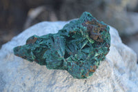 Natural Chatoyant Silky Malachite Specimens  x 12 From Kasompe, Congo