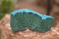 Natural Blue Chrysocolla On Silky Malachite Matrix Specimens  x 6 From Kulukuluku, Congo - Toprock Gemstones and Minerals 