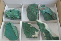 Natural Crystalline Micro Botryoidal Malachite Specimens  x 6 From Congo