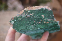 Natural Drusy Coated Chrysocolla & Malachite Dolomite Specimens x 2 From Likasi, Congo