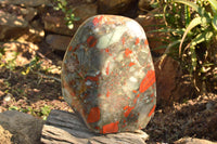 Polished XXL Bloodstone (Seftonite) Standing Free Form With Pyrite Specks  x 1 From Swaziland - TopRock