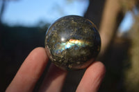 Polished Lovely Labradorite Spheres  x 6 From Tulear, Madagascar