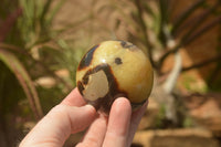 Polished Septarian (Calcite & Aragonite) Spheres  x 5 From Mahajanga, Madagascar - TopRock