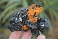 Natural Medium Sized Schorl / Black Tourmaline Specimens x 6 From Erongo, Namibia