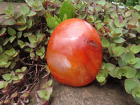 Polished Bright Red/ Orange Medium Sized Carnelian Palm Stones / Gallets - sold per kg - From Madagascar - TopRock