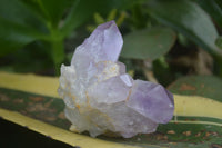 Natural Jacaranda Amethyst Clusters  x 3 From Mumbwa, Zambia - Toprock Gemstones and Minerals 