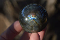 Polished Lovely Labradorite Spheres  x 6 From Tulear, Madagascar