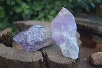 Natural Single Jacaranda Amethyst Crystals  x 12 From Mumbwa, Zambia - Toprock Gemstones and Minerals 