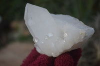 Natural Clear Quartz Crystal Clusters  x 6 From Madagascar