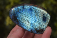 Polished Labradorite Standing Free Forms  x 6 From Tulear, Madagascar