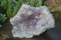 Natural Jacaranda Amethyst Geode Specimen  x 1 From Zambia - Toprock Gemstones and Minerals 