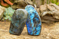 Polished Labradorite Standing Free Forms With Intense Blue & Gold Flash x 3 From Tulear, Madagascar - TopRock