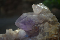 Natural Jacaranda Amethyst Cluster x 1 From Mumbwa, Zambia - TopRock