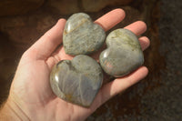 Polished Purple Flash Labradorite Hearts x 6 From Tulear, Madagascar - TopRock