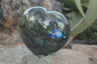 Polished  Puffy Labradorite Gemstone Heart x 1 From Tulear, Madagascar