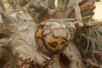 Polished Septarian (Calcite & Aragonite) Spheres  x 5 From Mahajanga, Madagascar - TopRock