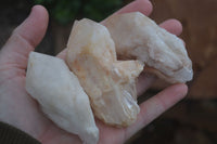 Natural Highly Selected Pineapple Candle Quartz Crystals  x 12 From Madagascar - Toprock Gemstones and Minerals 