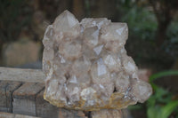 Natural Large White Phantom Smokey Quartz Cluster  x 1 From Luena, Congo - Toprock Gemstones and Minerals 