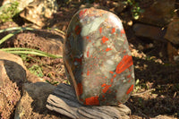 Polished XXL Bloodstone (Seftonite) Standing Free Form With Pyrite Specks  x 1 From Swaziland - TopRock