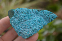 Natural Blue Chrysocolla On Silky Malachite Matrix Specimens  x 6 From Kulukuluku, Congo - Toprock Gemstones and Minerals 