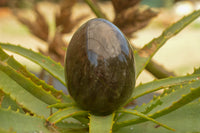 Polished Large Morion Smokey Quartz Eggs x 4 From Madagascar - TopRock