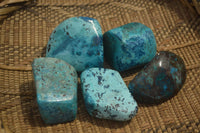 Polished Blue Shattuckite Free Forms  x 5 From Namibia