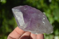 Natural Single Jacaranda Amethyst Crystals x 12 From Zambia