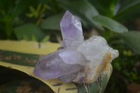 Natural Jacaranda Amethyst Clusters  x 3 From Mumbwa, Zambia - Toprock Gemstones and Minerals 