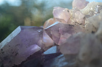 Natural Jacaranda Amethyst Cluster x 1 From Mumbwa, Zambia - TopRock