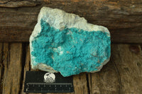 Natural Bright Blue Botryoidal Chrysocolla Specimens x 4 From Lupoto, Congo - TopRock