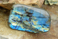 Polished Labradorite Standing Free Forms With Intense Blue & Gold Flash x 3 From Tulear, Madagascar - TopRock